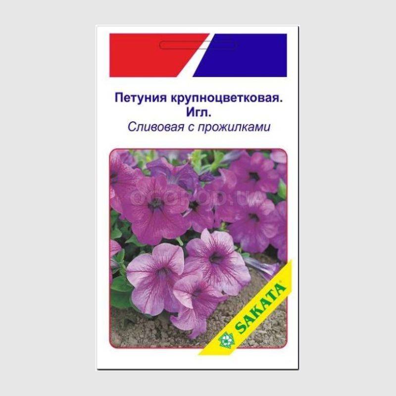 Кликните для увеличения изображения Семена петунии крупноцветковой «Игл», сливовой с прожилками / Petunia grandiflora «Eagle» F1, ТМ SAKATA - 20 драже