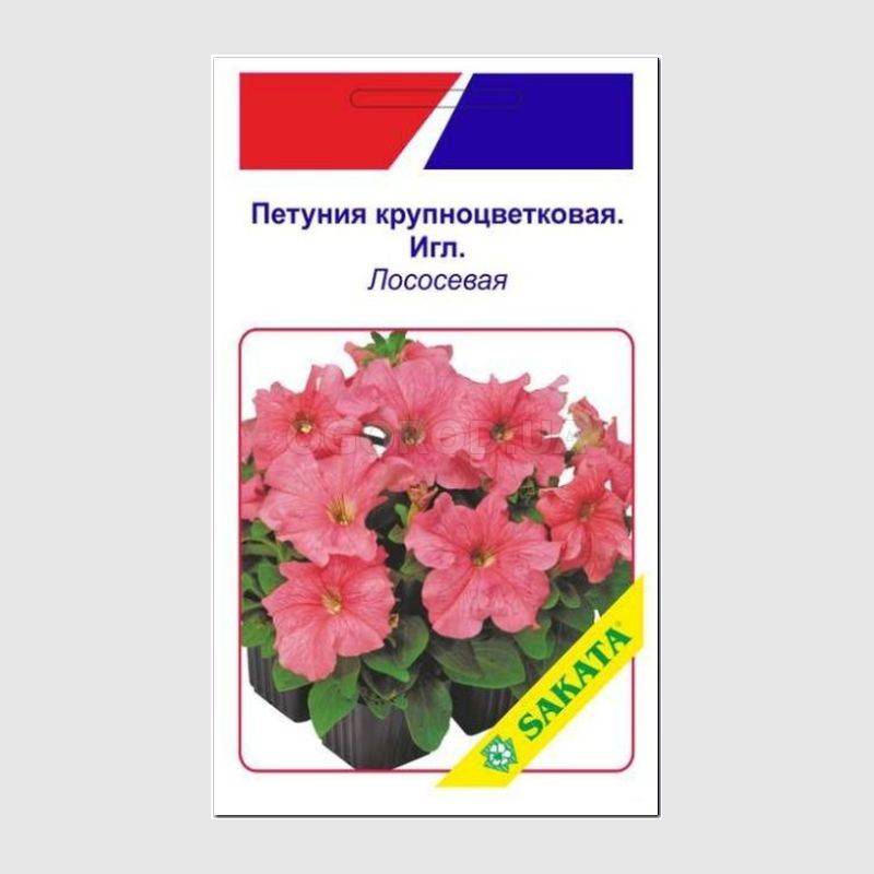 Кликните для увеличения изображения Семена петунии крупноцветковой «Игл», лососевая / Petunia grandiflora «Eagle» F1, ТМ SAKATA - 20 драже