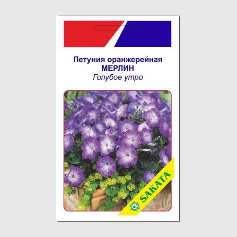 Кликните для увеличения изображения Семена петунии оранжерейной «Мерлин», голубое утро / Petunia multiflora «Merlin» F1, ТМ SAKATA - 20 драже