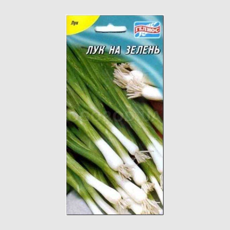 Кликните для увеличения изображения Семена лука «Эльвира» (на зелень), ТМ «ГЕЛИОС» - 100 семян
