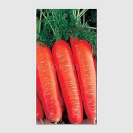 Семена моркови «Яскрава», ТМ «СЕМЕНА УКРАИНЫ» - 2 грамма