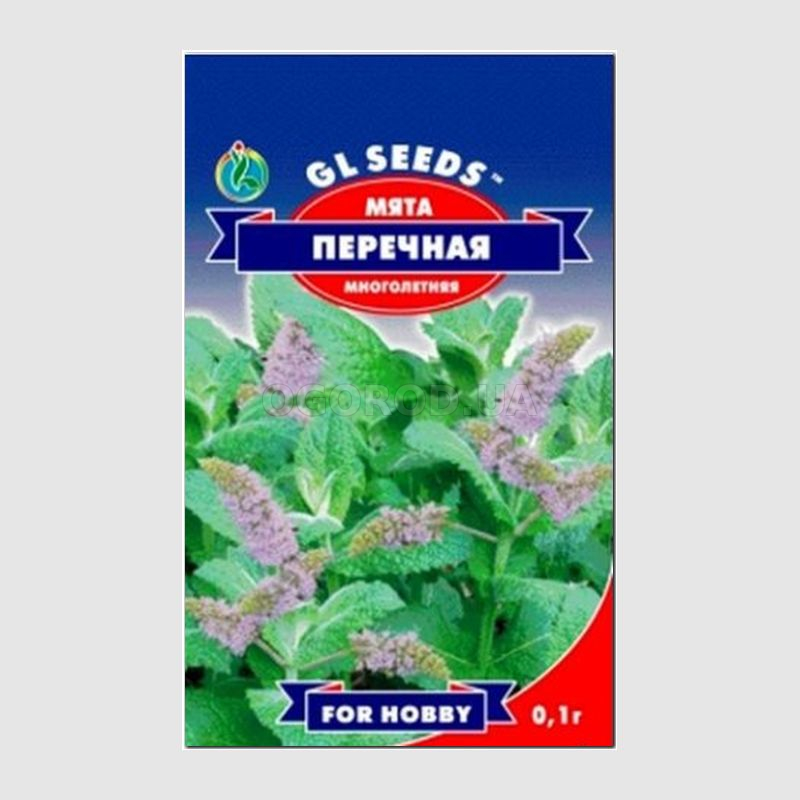 Кликните для увеличения изображения Семена мяты перечной / Mentha piperita, ТМ GL Seeds - 0,1 грамма