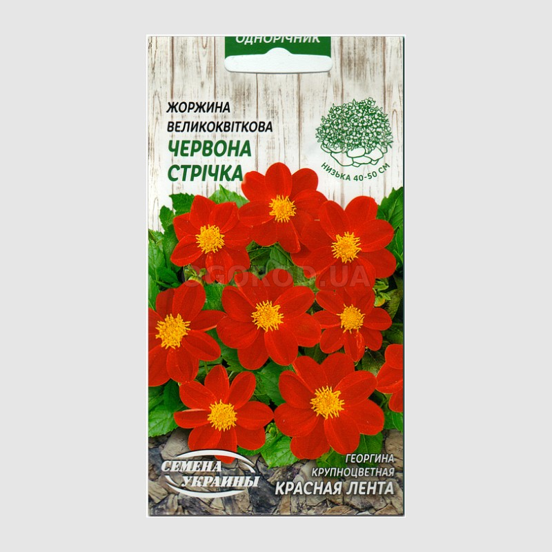 Кликните для увеличения изображения УЦЕНКА - Семена георгины «Красная лента», ТМ «СЕМЕНА УКРАИНЫ» - 0,3 грамма