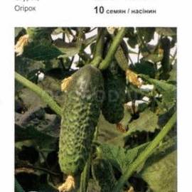 Семена огурца «Беттина» F1 / Bettina F1, ТМ «Nunhems» - 10 семян