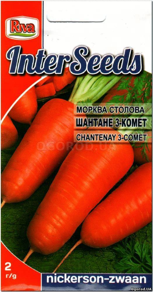 Кликните для увеличения изображения Семена моркови столовой «ШАНТАНЭ 3-КОМЕТ», ТМ Nickerson Zwaan - 2 грамма