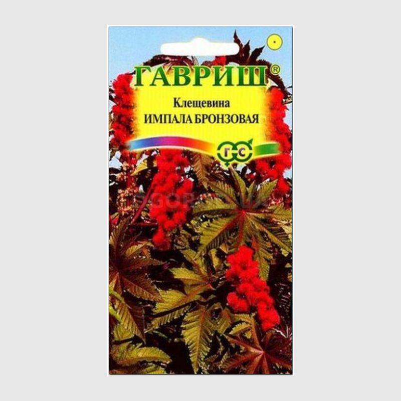 Кликните для увеличения изображения Семена клещевины «Импала бронзовая», ТМ «ГАВРИШ» - 5 семян