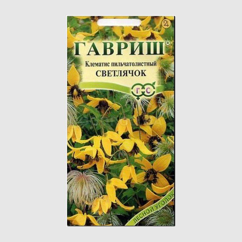Кликните для увеличения изображения Семена клематиса пильчатолистного «Светлячок», ТМ «ГАВРИШ» - 50 семян