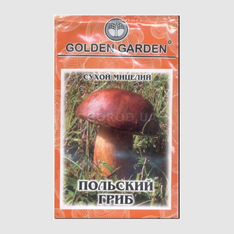 Кликните для увеличения изображения Сухой мицелий гриба «Польский», ТМ Golden Garden - 10 грамм