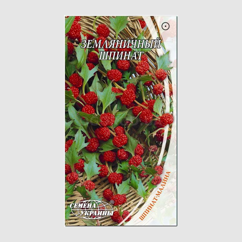 Кликните для увеличения изображения Семена шпината земляничного / Chenopodium foliosum, ТМ «СЕМЕНА УКРАИНЫ» - 0,1 грамма