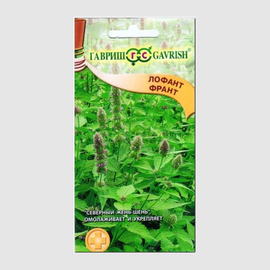 Семена лофанта анисового «Франт» / Lophanthus anisatum, ТМ «ГАВРИШ» - 0,3 грамма
