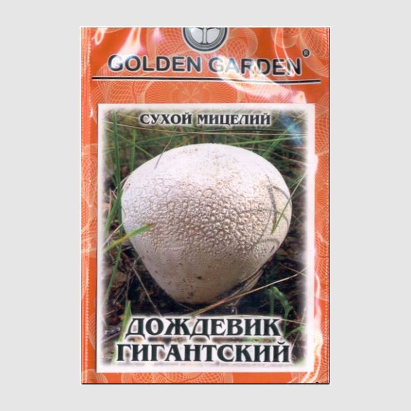 Кликните для увеличения изображения Сухой мицелий гриба «Дождевик гигантский», ТМ Golden Garden - 10 грамм