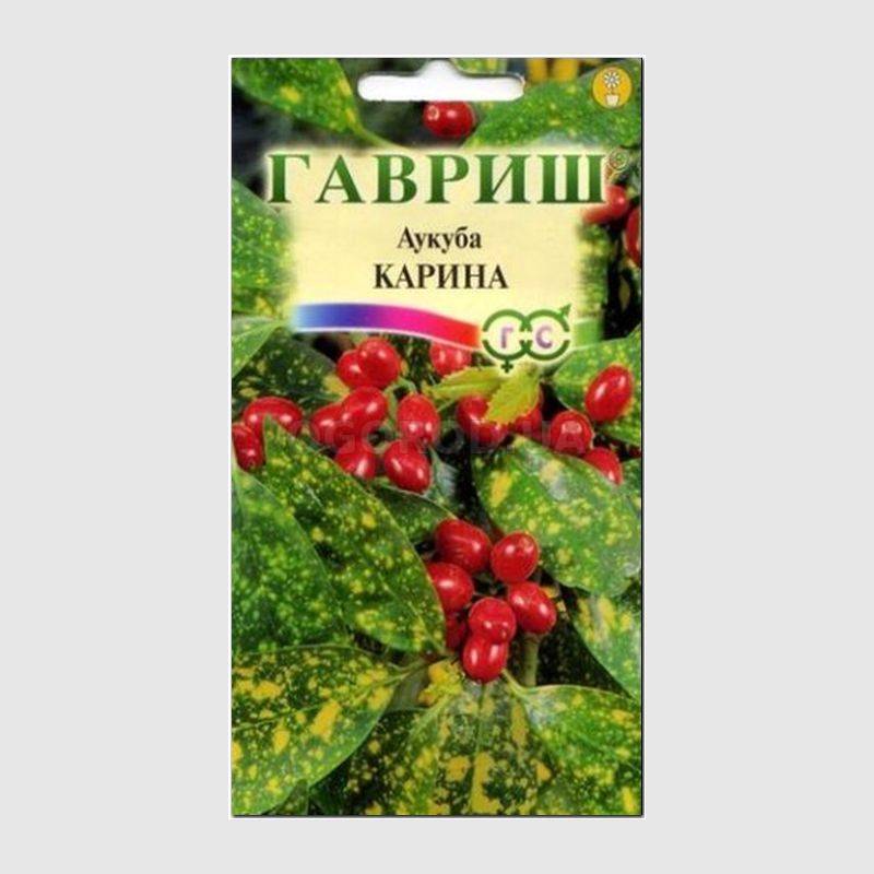 Кликните для увеличения изображения Семена аукубы японской «Карина», ТМ «ГАВРИШ» - 0,07 грамм