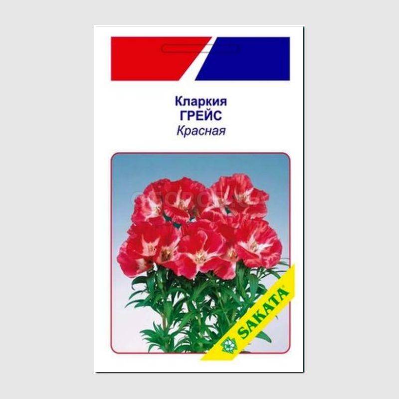 Кликните для увеличения изображения Семена кларкии «Грейс», красная, ТМ SAKATA - 10 семян