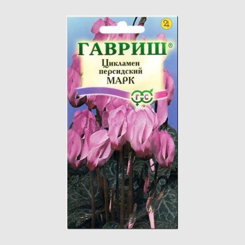 Кликните для увеличения изображения Семена цикламена персидского «Марк», ТМ «ГАВРИШ» - 3 семечка
