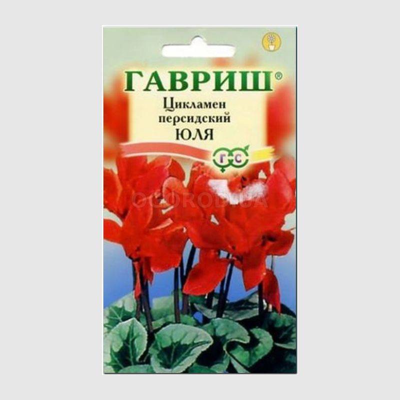 Кликните для увеличения изображения Семена цикламена персидского «Юля», ТМ «ГАВРИШ» - 3 семечка