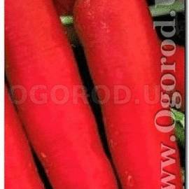 Семена редиса «Красный великан», ТМ OGOROD - 2 грамма
