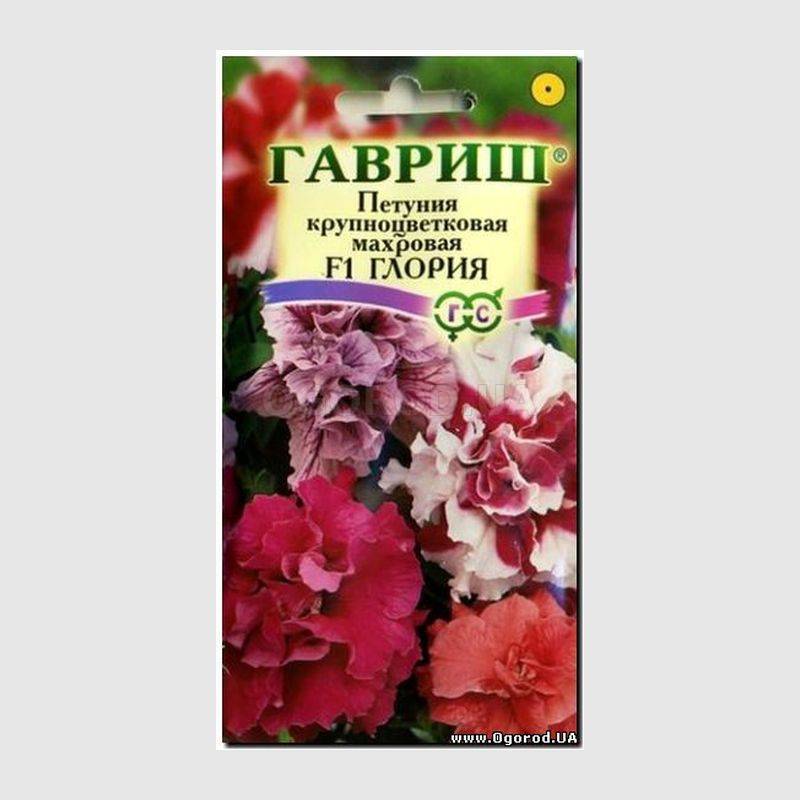 Кликните для увеличения изображения Семена петунии крупноцветковой махровая «Глория» F1, ТМ «ГАВРИШ» - 8 семян