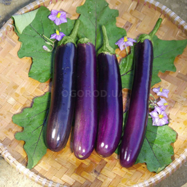 Семена баклажана «Длинный фиолетовый», TM OGOROD - 200 семян