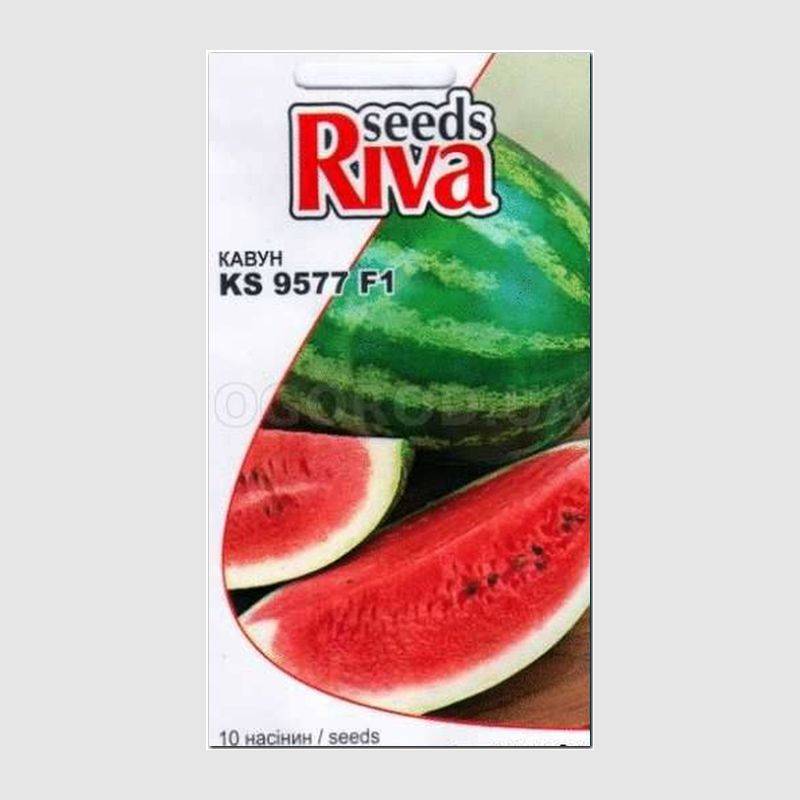 Кликните для увеличения изображения Семена АРБУЗА KS-9577 F1, ТМ KITANO seeds - 10 семян
