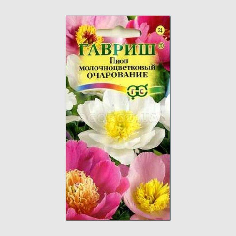 Кликните для увеличения изображения Семена пиона молочкоцветкового «Очарование», ТМ «ГАВРИШ» - 3 семечка
