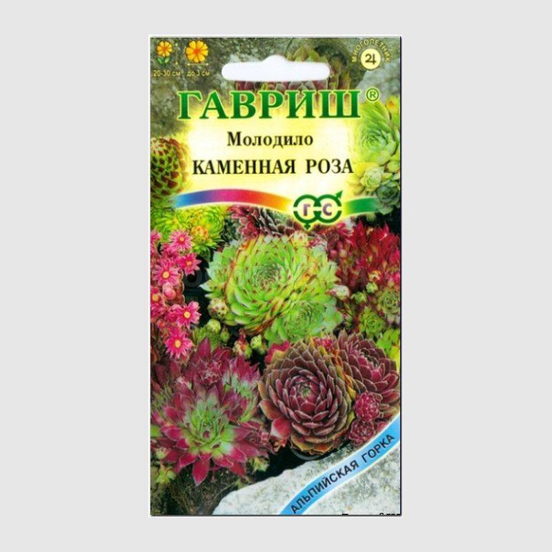 Кликните для увеличения изображения Семена Молодило «Каменная Роза», ТМ «ГАВРИШ» - 0,01 грамма