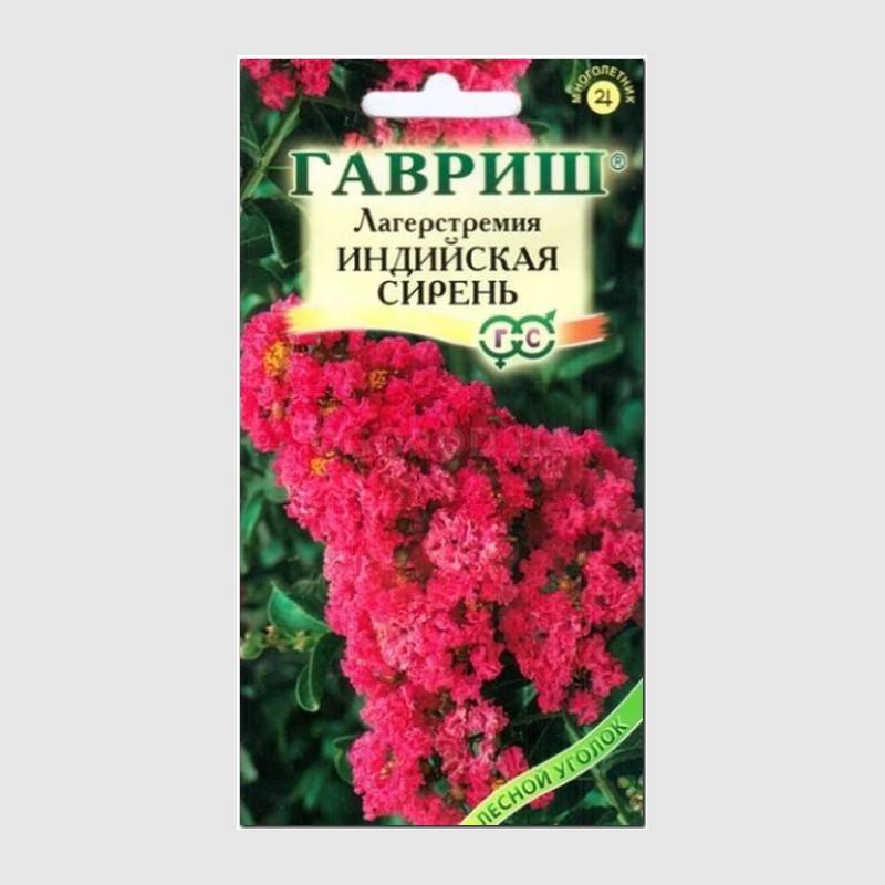 Кликните для увеличения изображения Семена лагерстремии «Индийская сирень», ТМ «ГАВРИШ» - 0,2 грамма