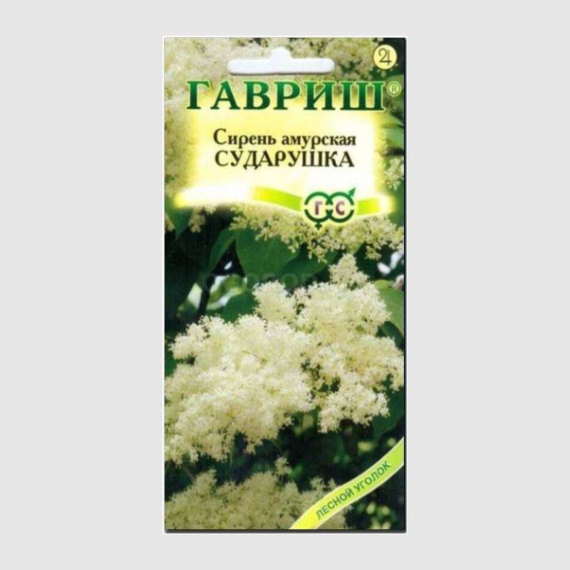 Кликните для увеличения изображения Семена сирени амурской «Сударушка», ТМ «ГАВРИШ» - 0,1 грамм