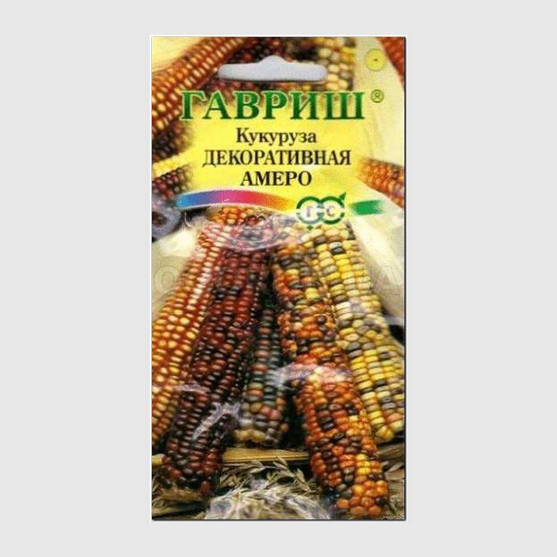 Кликните для увеличения изображения Семена кукурузы декоративной «Амеро», ТМ «ГАВРИШ», - 5 семян