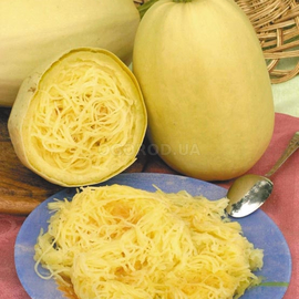 Семена кабачка «Спагетти», ТМ OGOROD - 10 семян