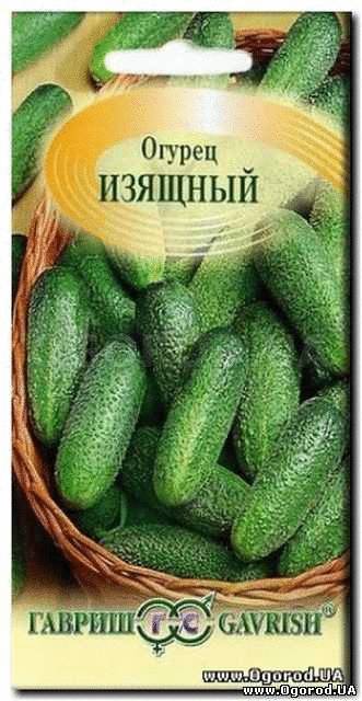 Кликните для увеличения изображения Семена огурца «Изящный», ТМ «ГАВРИШ», б/п - 0,5 грамма