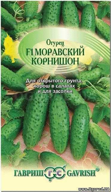 Кликните для увеличения изображения Семена огурца «Моравский корнишон», ТМ «ГАВРИШ», б/п - 0,5 грамма