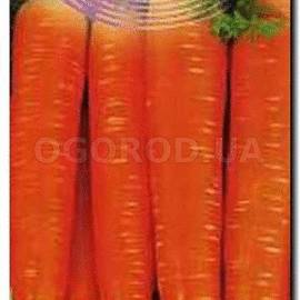 Семена моркови «Рогнеда», ТМ «ГАВРИШ», б/п - 2 грамма