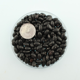 Семена фасоли спаржевой «Блэк Найт», ТМ OGOROD - 100 семян