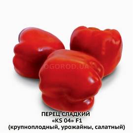 Семена перца сладкого «KS 04» F1, ТМ KITANO - 5 семян
