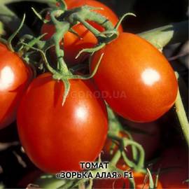 Семена томата «Зорька алая» F1, ТМ ОИБ НААН - 10 семян
