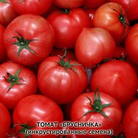 Семена томата «Брусничка» (инкрустированные), ТМ ИОБ НААН - 10 семян