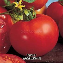 Семена томата «Добрый» F1 (инкрустированные), ТМ ИОБ НААН - 10 семян