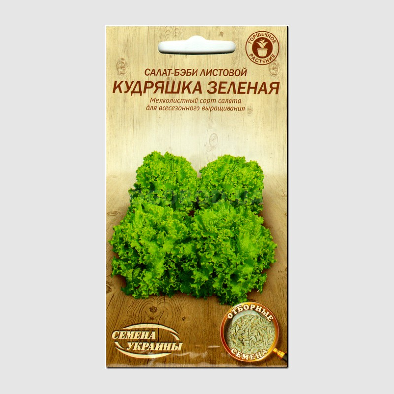 Кликните для увеличения изображения Семена салата «Кудряшка зеленая» (бэби), ТМ «СЕМЕНА УКРАИНЫ» - 1 грамм