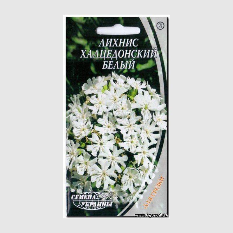 Кликните для увеличения изображения Семена лихниса «Халцедонский белый», ТМ «СЕМЕНА УКРАИНЫ» - 0,3 грамма
