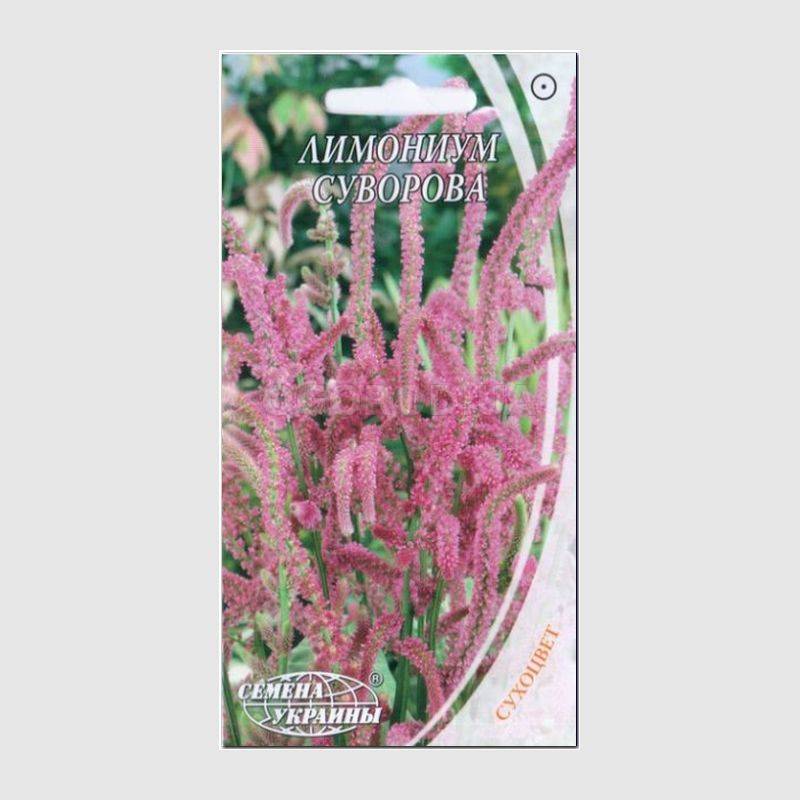 Кликните для увеличения изображения Семена лимониума «Суворова» , ТМ «СЕМЕНА УКРАИНЫ» - 0,1 грамма