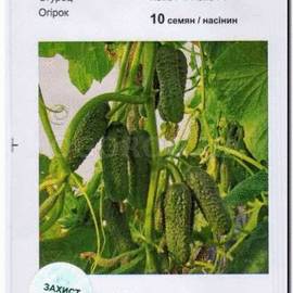 Семена огурца «Немо», ТМ Nunhems (10 семян)