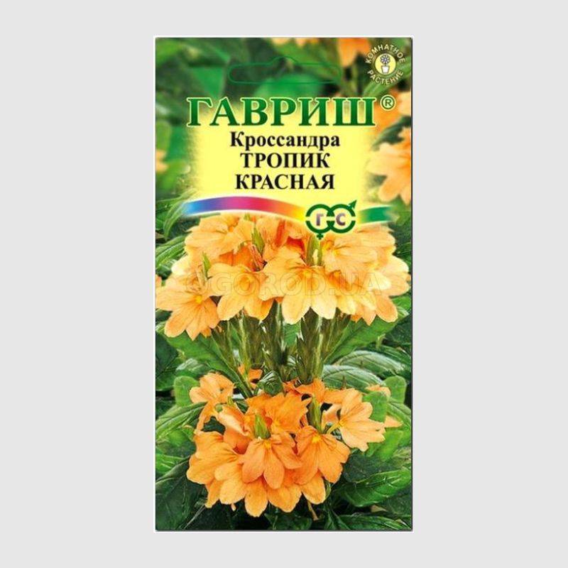 Кликните для увеличения изображения Семена кроссандры «Тропик красная», ТМ «ГАВРИШ» - 3 семечка