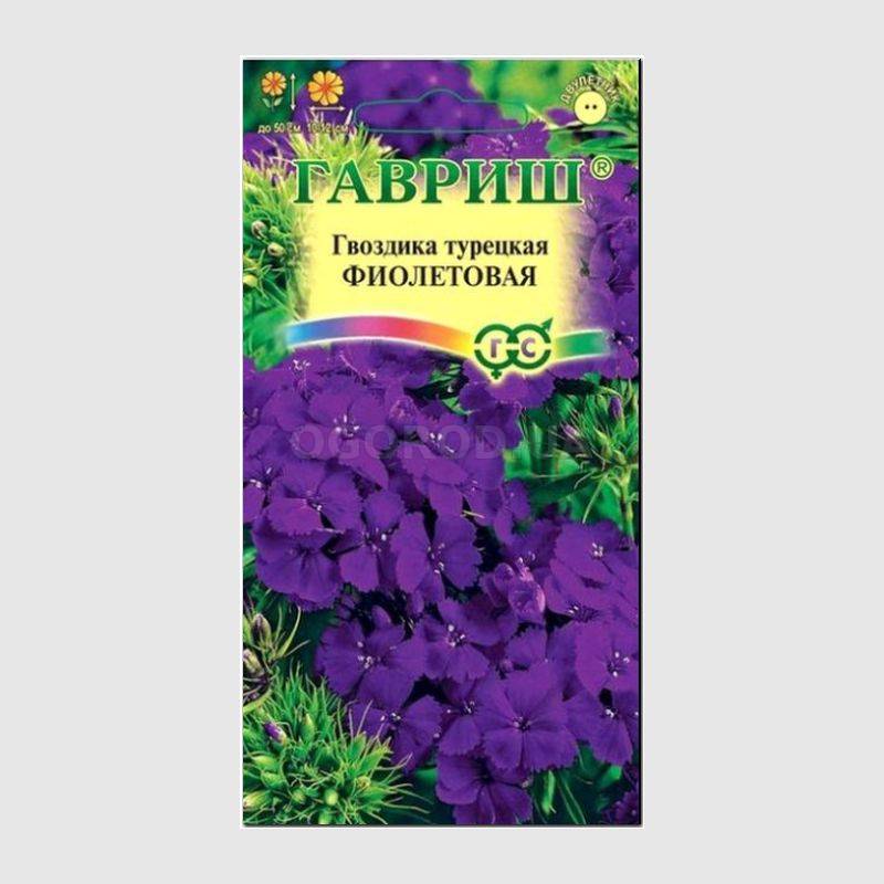 Кликните для увеличения изображения Семена гвоздики турецкой фиолетовой, ТМ «ГАВРИШ» - 0,2 грамма