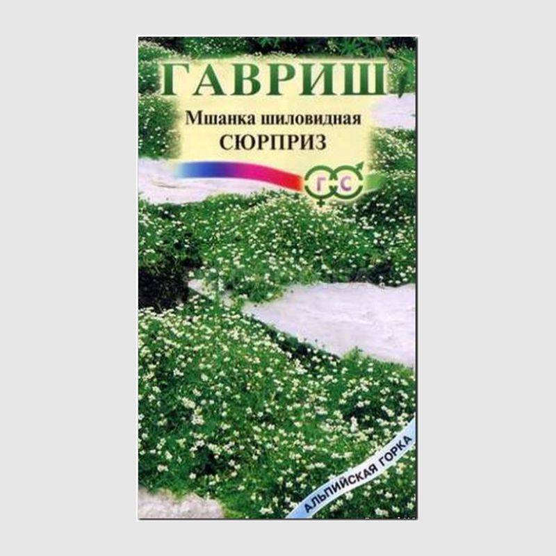 Кликните для увеличения изображения Семена мшанки шиловидной «Сюрприз», ТМ «ГАВРИШ» - 0,02 грамма
