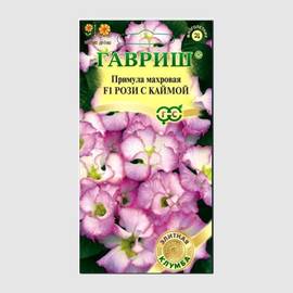 Семена примулы махровой F1 «Рози с каймой» / Primula acaulis, ТМ «ГАВРИШ» - 3 семечка