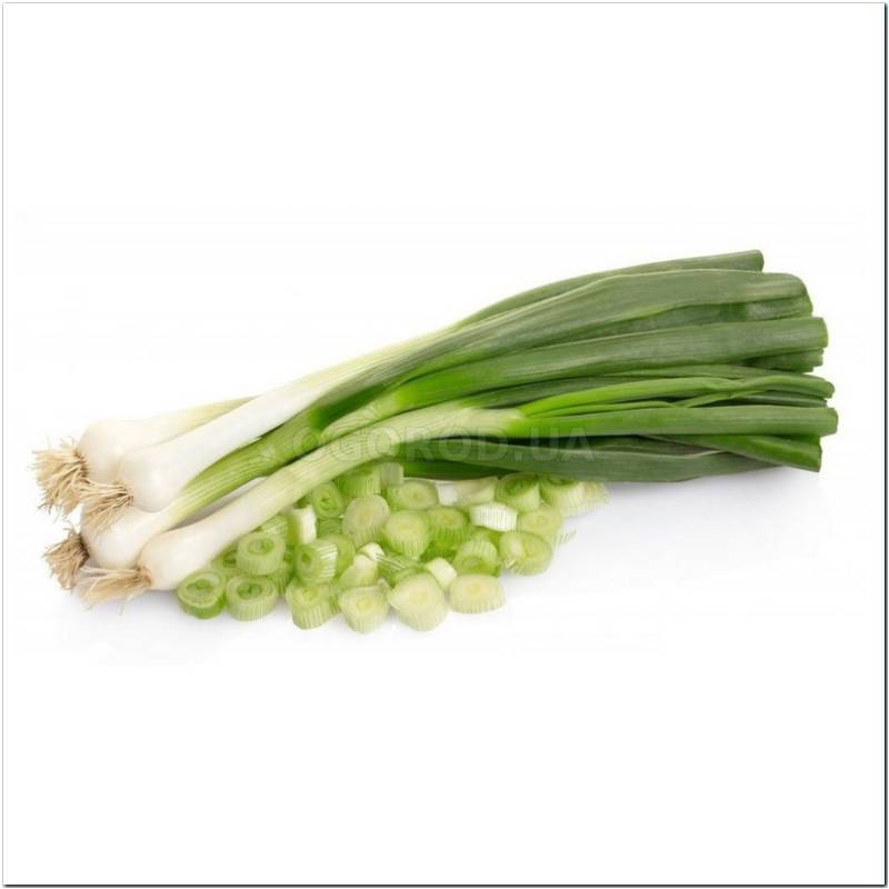 Кликните для увеличения изображения Семена лука «Исполин» / Allium fistulosum (батун), ТМ OGOROD - 100 грамм