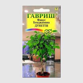 Семена фикуса «Бенджамина Дунетти» / Ficus benjamina, ТМ «ГАВРИШ» - 0,01 грамм
