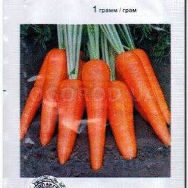 Семена моркови «Абликсо» F1 / Ablixo F1, ТМ Monsanto Holland BV - 1 грамм