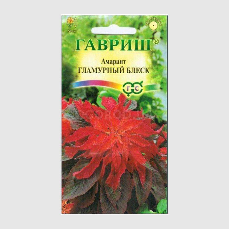 Кликните для увеличения изображения Семена амаранта «Гламурный блеск», ТМ «ГАВРИШ» - 0,1 грамм
