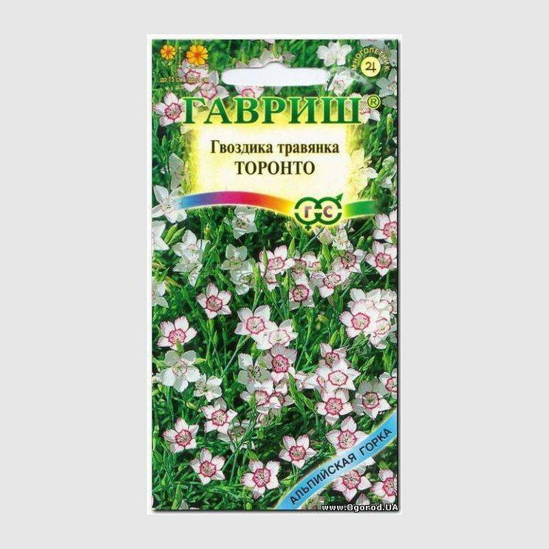 Кликните для увеличения изображения Семена гвоздики травянки «Торонто», ТМ «ГАВРИШ» - 1 грамм